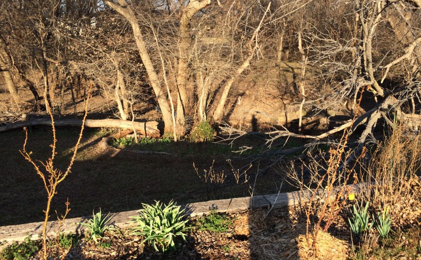 2015.03.13: life springs&nbsp;forth