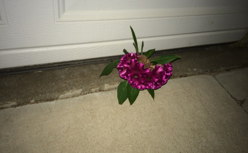 2015.11.15: unexpected