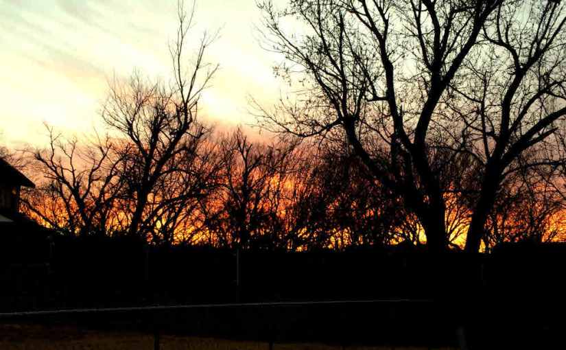 2016.02.02: nightwatch