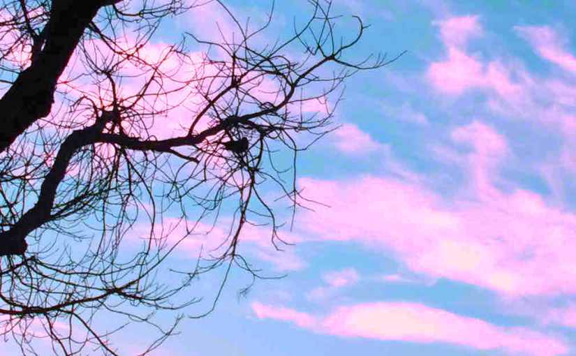 2016.02.19: dawn song