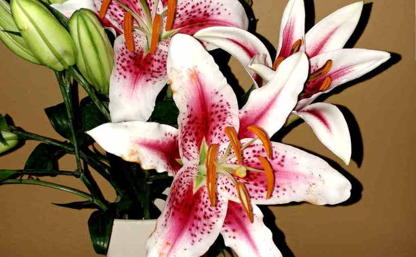 2017.04.29: dissonance