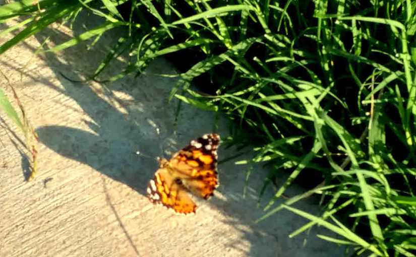 2017.08.26: awareness