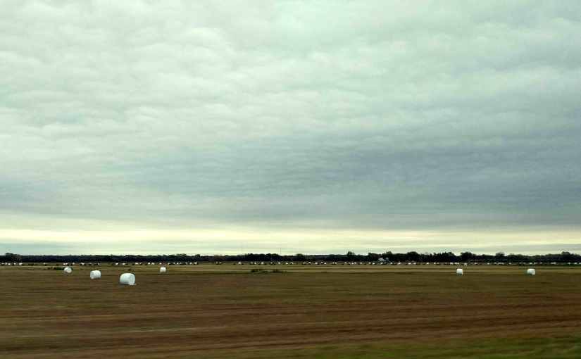 2018.12.10: modern hay