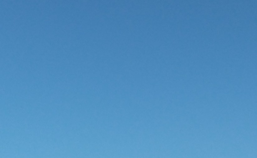 2019.07.25: wild shot