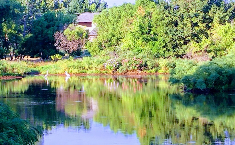 2019.07.27: identity